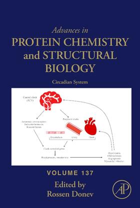 Donev |  Circadian System | Buch |  Sack Fachmedien