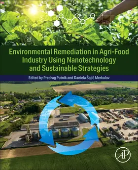 Putnik / Merkulov |  Environmental Remediation in Agri-Food Industry Using Nanotechnology and Sustainable Strategies | Buch |  Sack Fachmedien