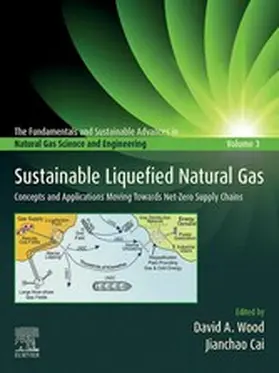 Wood / Cai |  Sustainable Liquefied Natural Gas | eBook | Sack Fachmedien