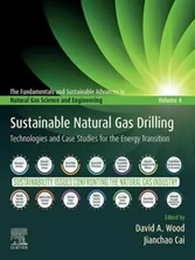 Wood / Cai |  Sustainable Natural Gas Drilling | eBook | Sack Fachmedien