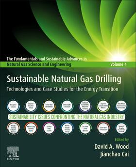 Wood / Cai |  Sustainable Natural Gas Drilling | Buch |  Sack Fachmedien