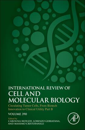  Circulating Tumor Cells, From Biotech Innovation to Clinical Utility Part B | Buch |  Sack Fachmedien