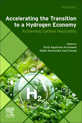 Kurniawan / Vara Prasad |  Accelerating the Transition to a Hydrogen Economy | Buch |  Sack Fachmedien