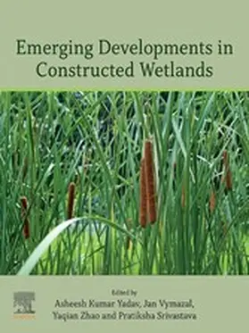 Yadav / Vymazal / Zhao |  Emerging Developments in Constructed Wetlands | eBook | Sack Fachmedien