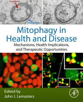 Lemasters |  Mitophagy in Health and Disease | Buch |  Sack Fachmedien