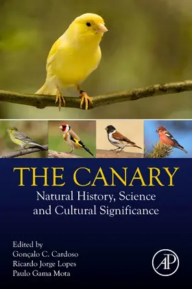 Cardoso / Lopes / Mota |  The Canary | Buch |  Sack Fachmedien