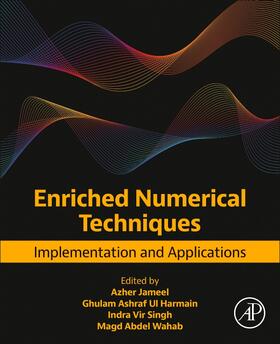 Jameel / Ul Harmain / Singh |  Enriched Numerical Techniques | Buch |  Sack Fachmedien