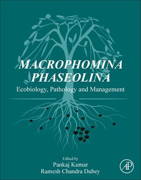 Kumar / Dubey |  Macrophomina Phaseolina | Buch |  Sack Fachmedien