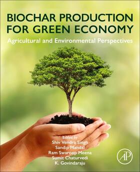 K / Singh / Meena |  Biochar Production for Green Economy | Buch |  Sack Fachmedien
