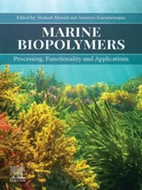 Ahmed / Soundararajan Ph. D. / Soundararajan |  Marine Biopolymers | eBook | Sack Fachmedien