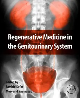 Sefat / Saeinasab |  Regenerative Medicine in the Genitourinary System | Buch |  Sack Fachmedien