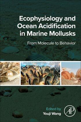 Wang |  Ecophysiology and Ocean Acidification in Marine Mollusks | Buch |  Sack Fachmedien