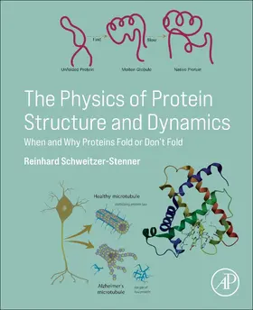 Schweitzer-Stenner |  The Physics of Protein Structure and Dynamics | Buch |  Sack Fachmedien