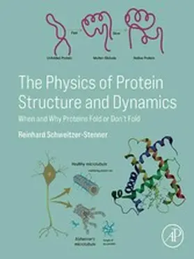 Schweitzer-Stenner |  The Physics of Protein Structure and Dynamics | eBook | Sack Fachmedien