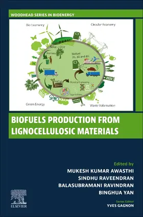 Awasthi / Raveendran / Ravindran |  Biofuels Production from Lignocellulosic Materials | Buch |  Sack Fachmedien