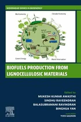 Awasthi / Raveendran / Ravindran |  Biofuels Production from Lignocellulosic Materials | eBook | Sack Fachmedien