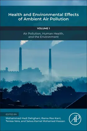 Dehghani / Karri / Vera |  Health and Environmental Effects of Ambient Air Pollution | Buch |  Sack Fachmedien