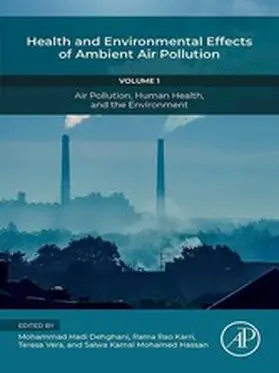 Dehghani / Karri / Vera |  Health and Environmental Effects of Ambient Air Pollution | eBook | Sack Fachmedien