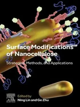 Lin / Zhu |  Surface Modifications of Nanocellulose | eBook | Sack Fachmedien