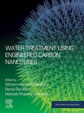 Hadi Dehghani / Karri / Mubarak |  Water Treatment Using Engineered Carbon Nanotubes | eBook | Sack Fachmedien