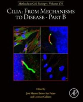 Galluzzi |  Cilia: From Mechanisms to Disease-Part B | eBook | Sack Fachmedien