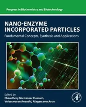 Ananthi / Arun / Mustansar Hussain |  Nano-Enzyme Incorporated Particles | eBook | Sack Fachmedien