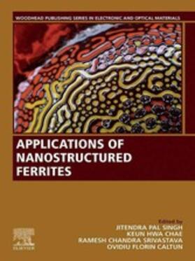 HwaChae |  Applications of Nanostructured Ferrites | eBook | Sack Fachmedien
