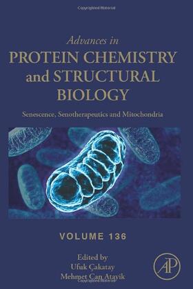  Senescence, Senotherapeutics and Mitochondria | Buch |  Sack Fachmedien