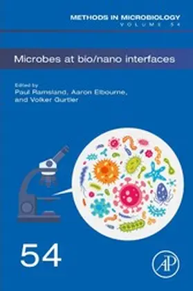 Ramsland / Elbourne / Gurtler |  Microbes at Bio/Nano Interfaces | eBook | Sack Fachmedien