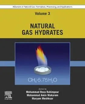 Rahimpour / Makarem / Meshksar |  Advances in Natural Gas: Formation, Processing, and Applications. Volume 3: Natural Gas Hydrates | eBook | Sack Fachmedien