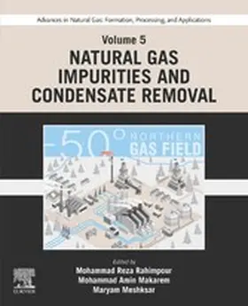 Rahimpour / Makarem / Meshksar |  Advances in Natural Gas: Formation, Processing, and Applications. Volume 5: Natural Gas Impurities and Condensate Removal | eBook | Sack Fachmedien