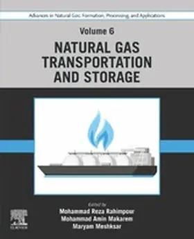 Rahimpour / Makarem / Meshksar |  Advances in Natural Gas: Formation, Processing, and Applications. Volume 6: Natural Gas Transportation and Storage | eBook | Sack Fachmedien