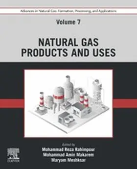 Rahimpour / Makarem / Meshksar |  Advances in Natural Gas: Formation, Processing, and Applications. Volume 7: Natural Gas Products and Uses | eBook | Sack Fachmedien