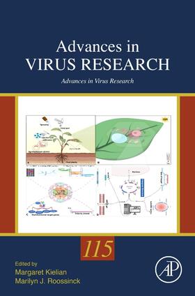 Kielian / Roossinck |  Advances in Virus Research | Buch |  Sack Fachmedien