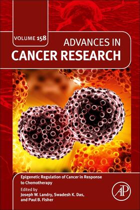 Epigenetic Regulation of Cancer in Response to Chemotherapy | Buch | 978-0-443-19418-4 | sack.de