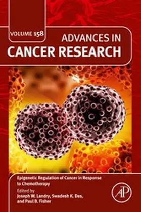 Landry / Das |  Epigenetic Regulation of Cancer in Response to Chemotherapy | eBook | Sack Fachmedien