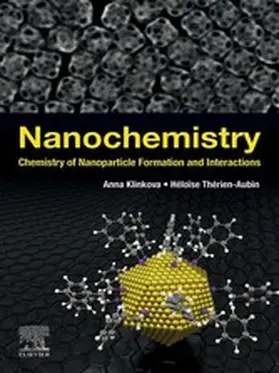 Klinkova / Th‚rien-Aubin |  Nanochemistry | eBook | Sack Fachmedien