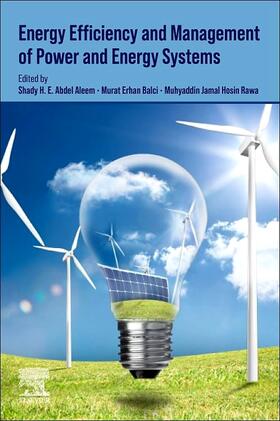 Abdel Aleem / Erhan Balci / Rawa |  Energy Efficiency of Modern Power and Energy Systems | Buch |  Sack Fachmedien