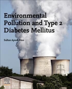 Meo |  Environmental Pollution and Type 2 Diabetes Mellitus | Buch |  Sack Fachmedien