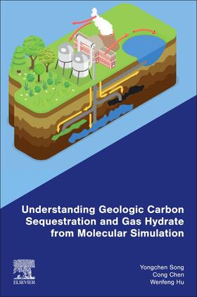 Song / Chen / Hu |  Understanding Geologic Carbon Sequestration and Gas Hydrate from Molecular Simulation | Buch |  Sack Fachmedien