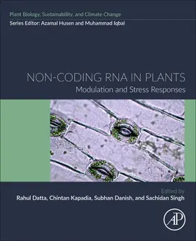 Datta / Kapadia / Danish |  Non-Coding RNA in Plants | Buch |  Sack Fachmedien