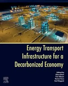 Brun / Allison / Kurz |  Energy Transport Infrastructure for a Decarbonized Economy | eBook | Sack Fachmedien