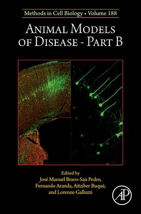  Animal Models of Disease Part B | Buch |  Sack Fachmedien