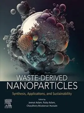 Aslam / Mustansar Hussain |  Waste-Derived Nanoparticles | eBook | Sack Fachmedien