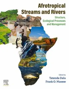 Dalu / Masese |  Afrotropical Streams and Rivers | eBook | Sack Fachmedien