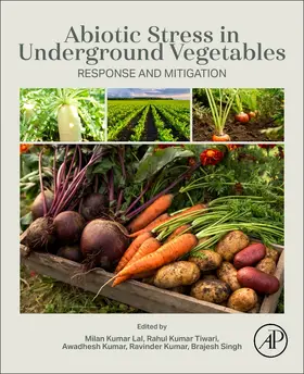 Kumar Lal / Kumar Tiwari / Kumar |  Abiotic Stress in Underground Vegetables | Buch |  Sack Fachmedien