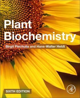 Piechulla / Heldt |  Plant Biochemistry | Buch |  Sack Fachmedien