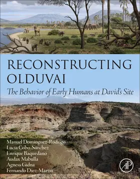 Gidna / Domínguez-Rodrigo / Mabulla |  Reconstructing Olduvai | Buch |  Sack Fachmedien