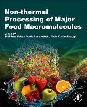 Falsafi / Rostamabadi / Rastogi |  Non-Thermal Processing of Major Food Macromolecules | Buch |  Sack Fachmedien