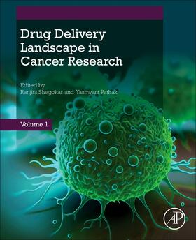 Shegokar / Pathak |  Drug Delivery Landscape in Cancer Research | Buch |  Sack Fachmedien